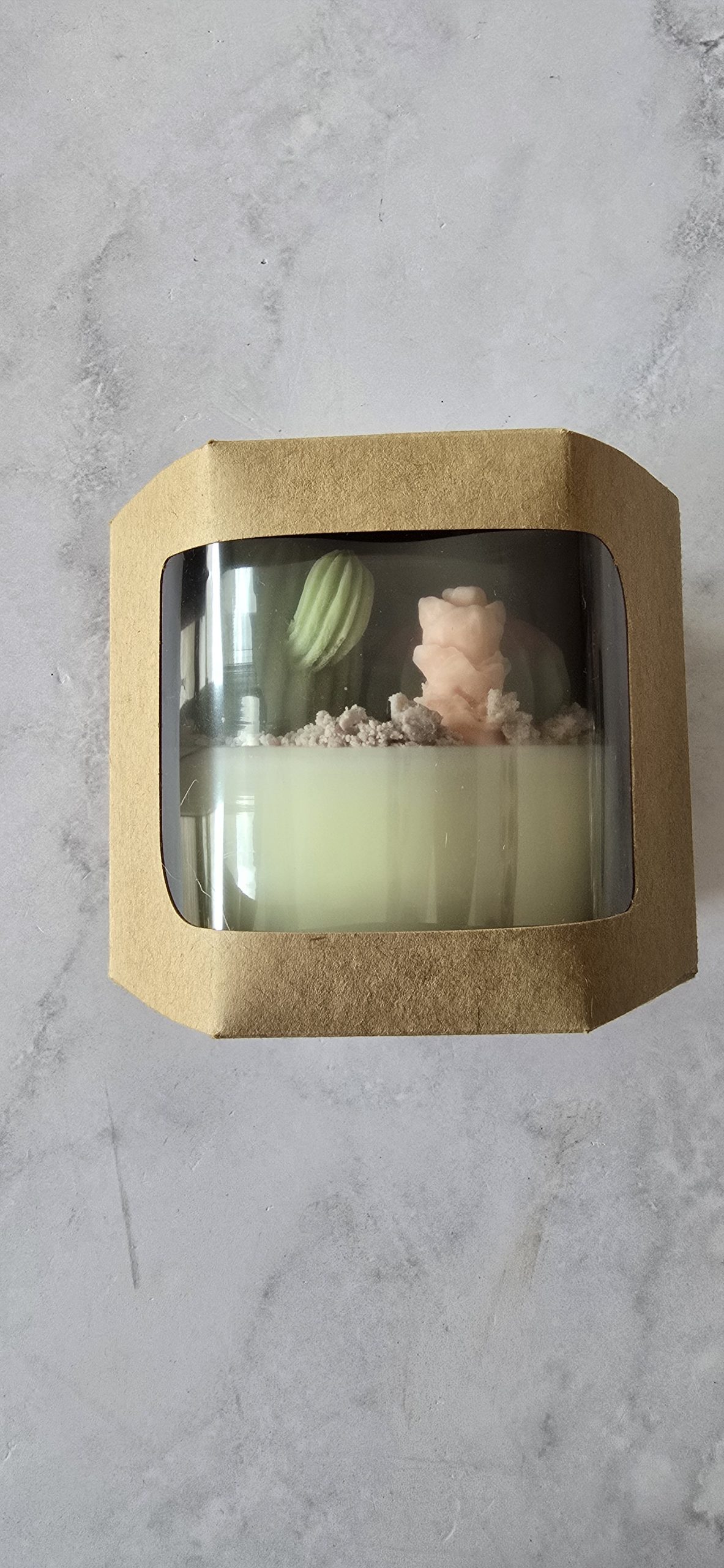 Terrario grande - Imagen 3