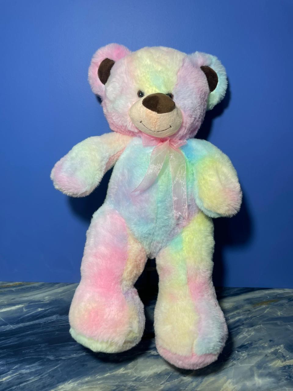 Oso arcoiris - Imagen 2