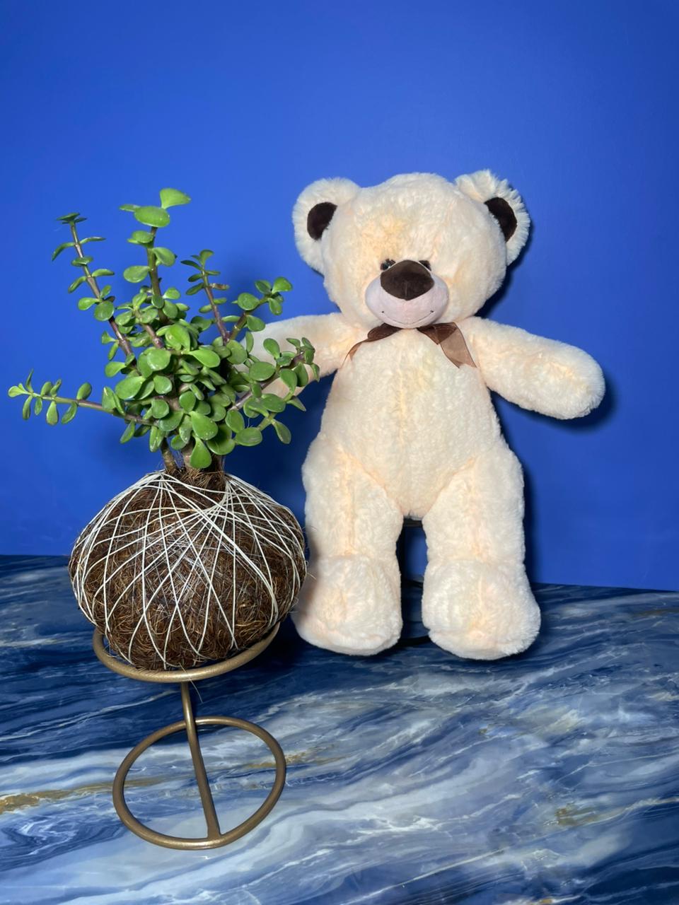 Oso de peluche clásico (Beige) - Imagen 2